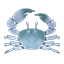 Ocean Crab