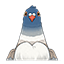 Brightcrown Pigeon