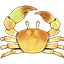 Golden Crab