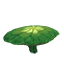 Bouncy Mushroom