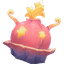 Allochromatic Anemone