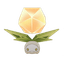 Mandrágora