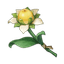 Lost Flower of Ancient Times