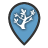 Skill Fruit Tree